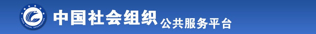 好骚H全国社会组织信息查询